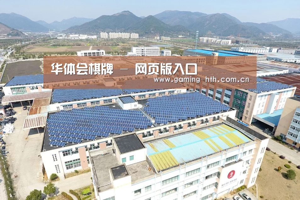 案例展示二