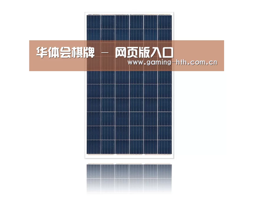 产品名称一