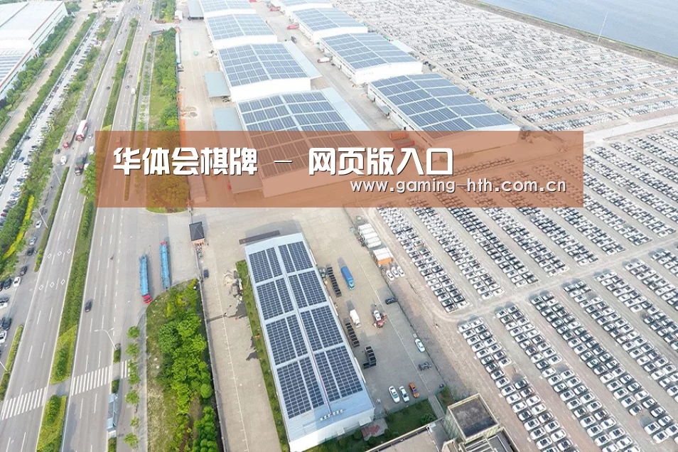 案例展示一