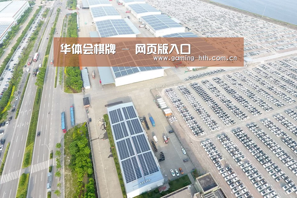 案例展示一