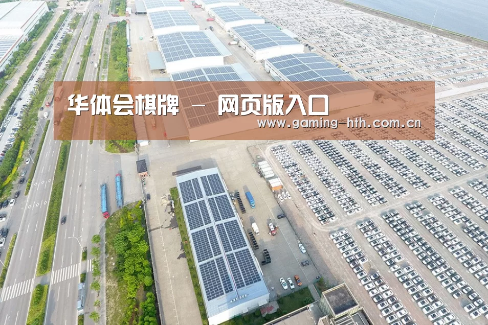 案例展示四