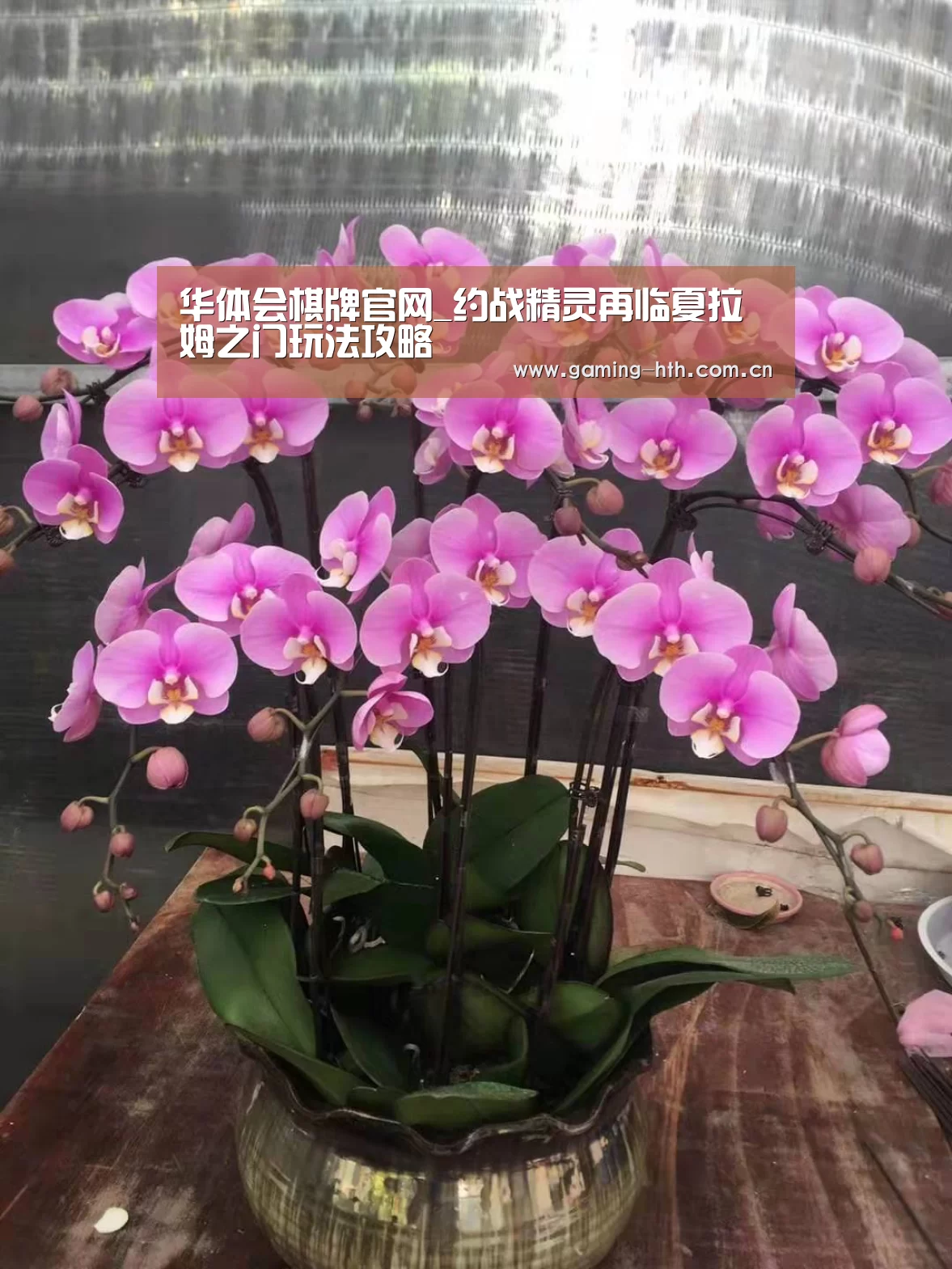 华体会棋牌官网