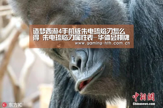 造梦西游4手机版朱电琉焰刃怎么得 朱电琉焰刃属性表-华体会棋牌(图3)